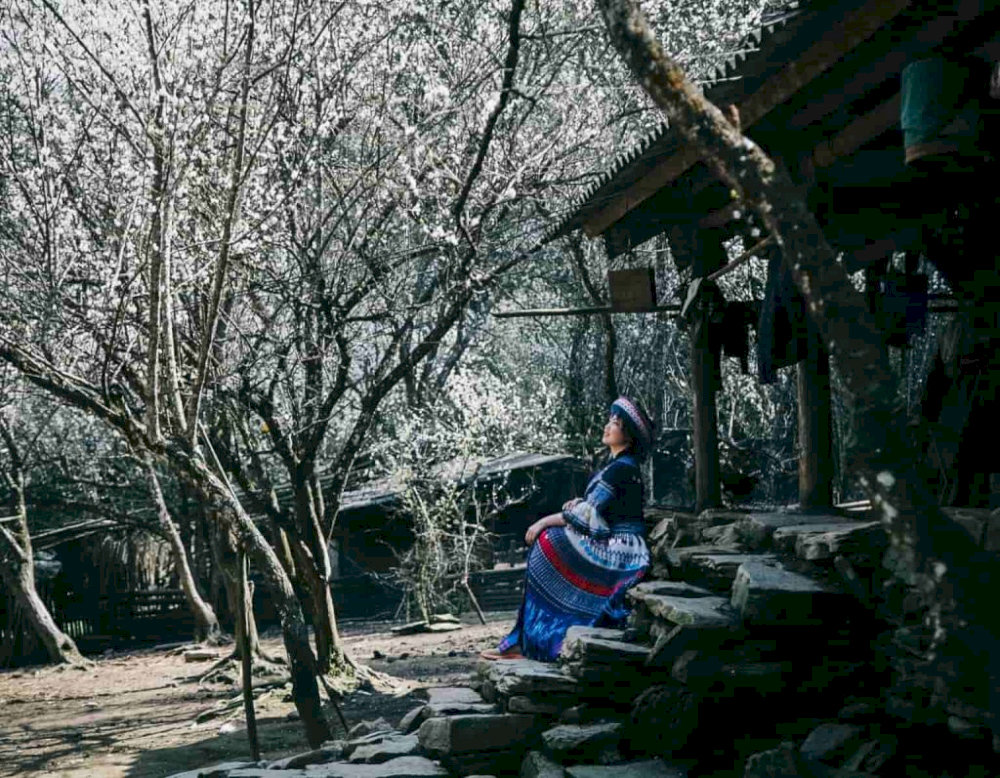 Ta Van Village in winter transforms into a peaceful haven, offering a serene escape amidst the chill of the mountains